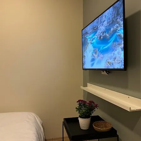 Apartmán Roj Istanbulská provincie
